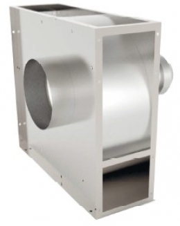 DUF-025